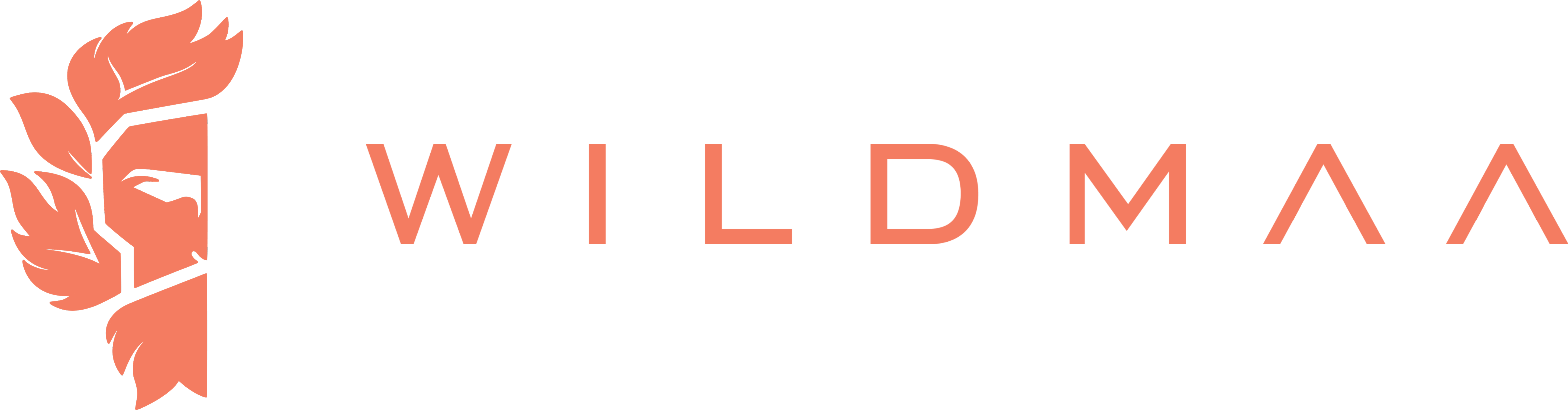 Wildmaa DE